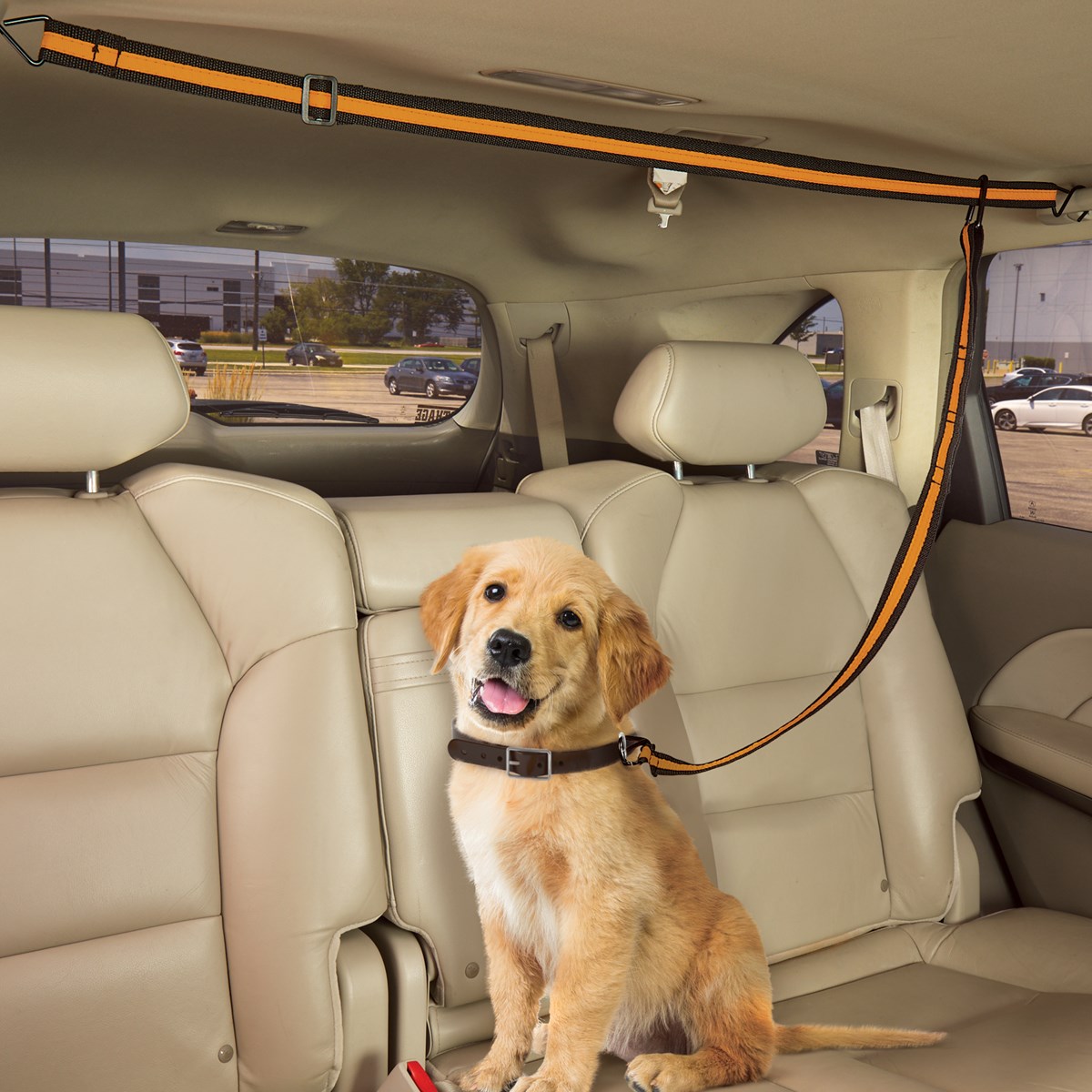 Happy Ride Adjustable Dog Zipline with Clips Included Collections Etc.