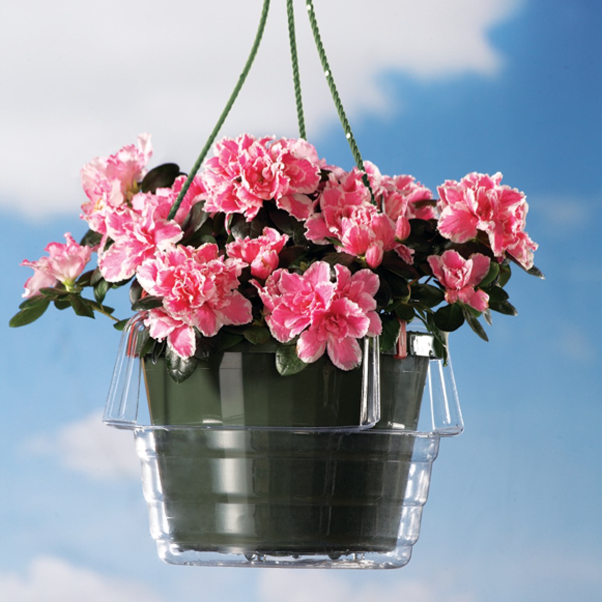 Hanging Basket Plastic Drip Catchers Set of 3 Collections Etc.