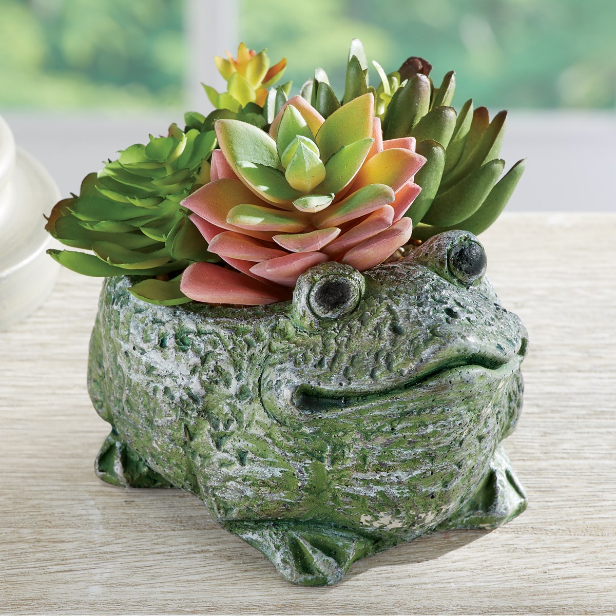 Charming Frog Planter with Artificial Succulents Collections Etc.