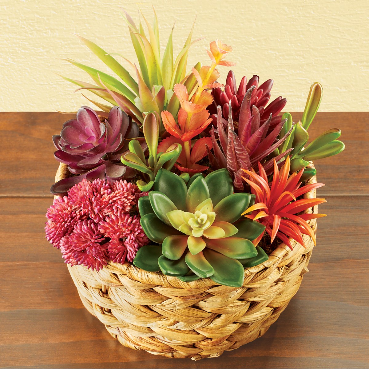 Colorful Artificial Succulent Arrangement Collections Etc.