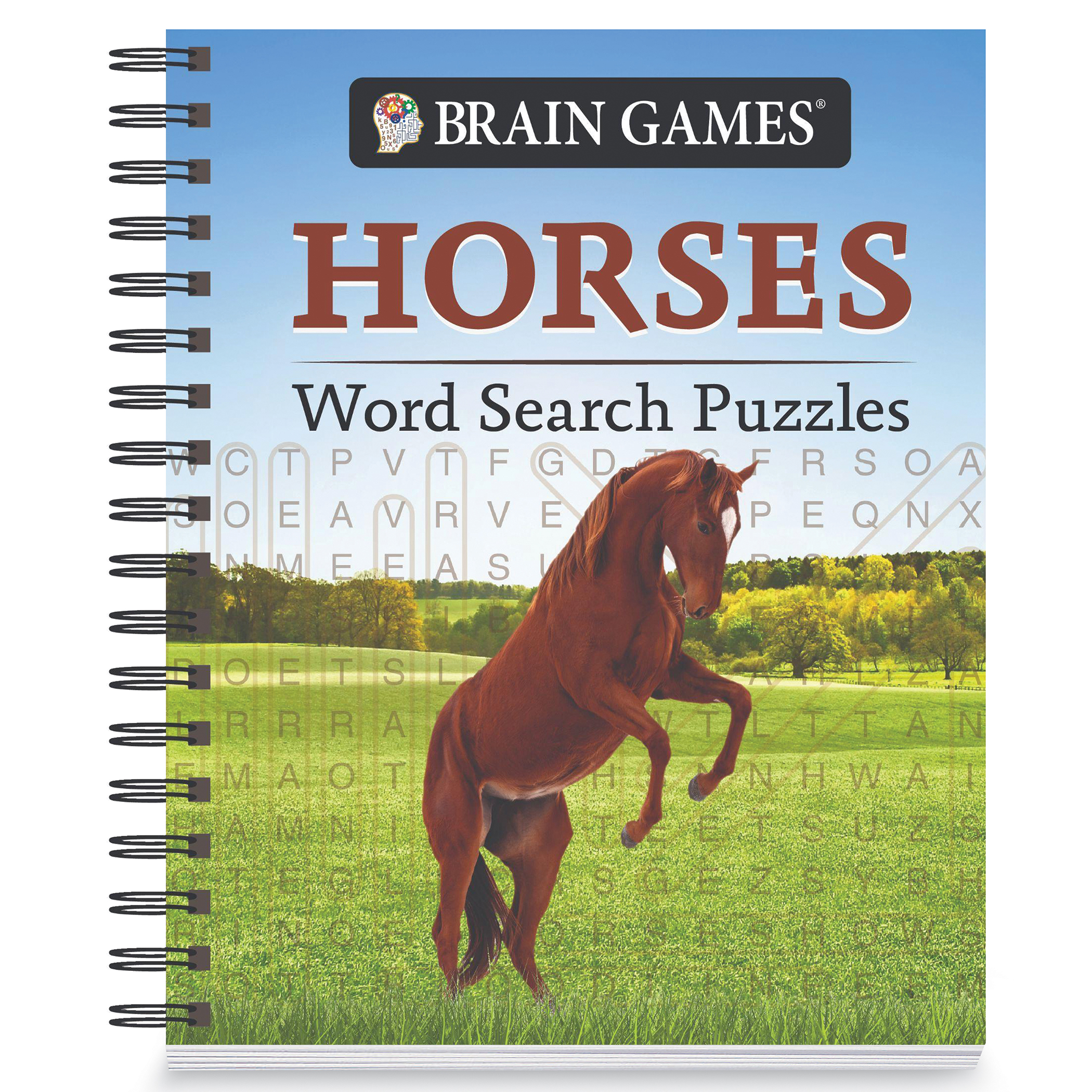 Brain Games Horses Word Search Puzzles Book