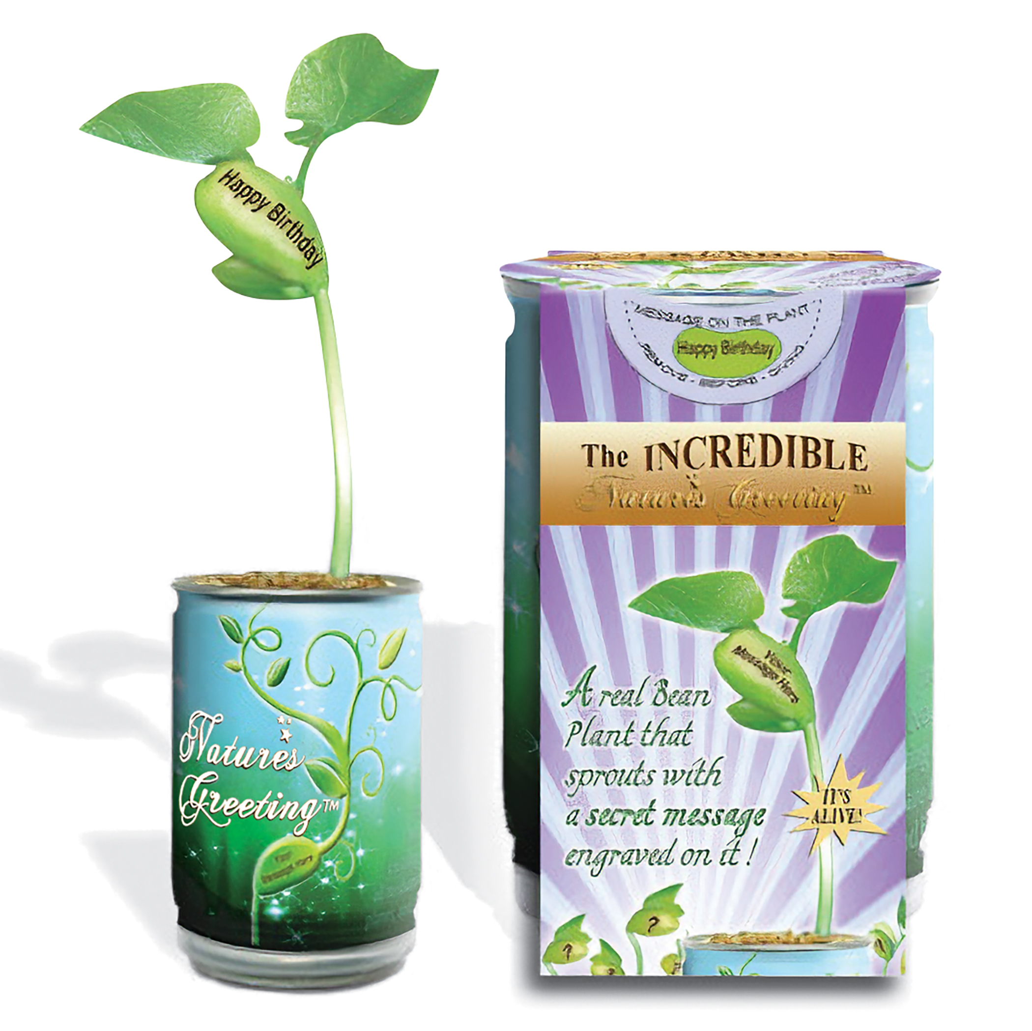 Magic Bean Happy Birthday Leaf Plant in a Can