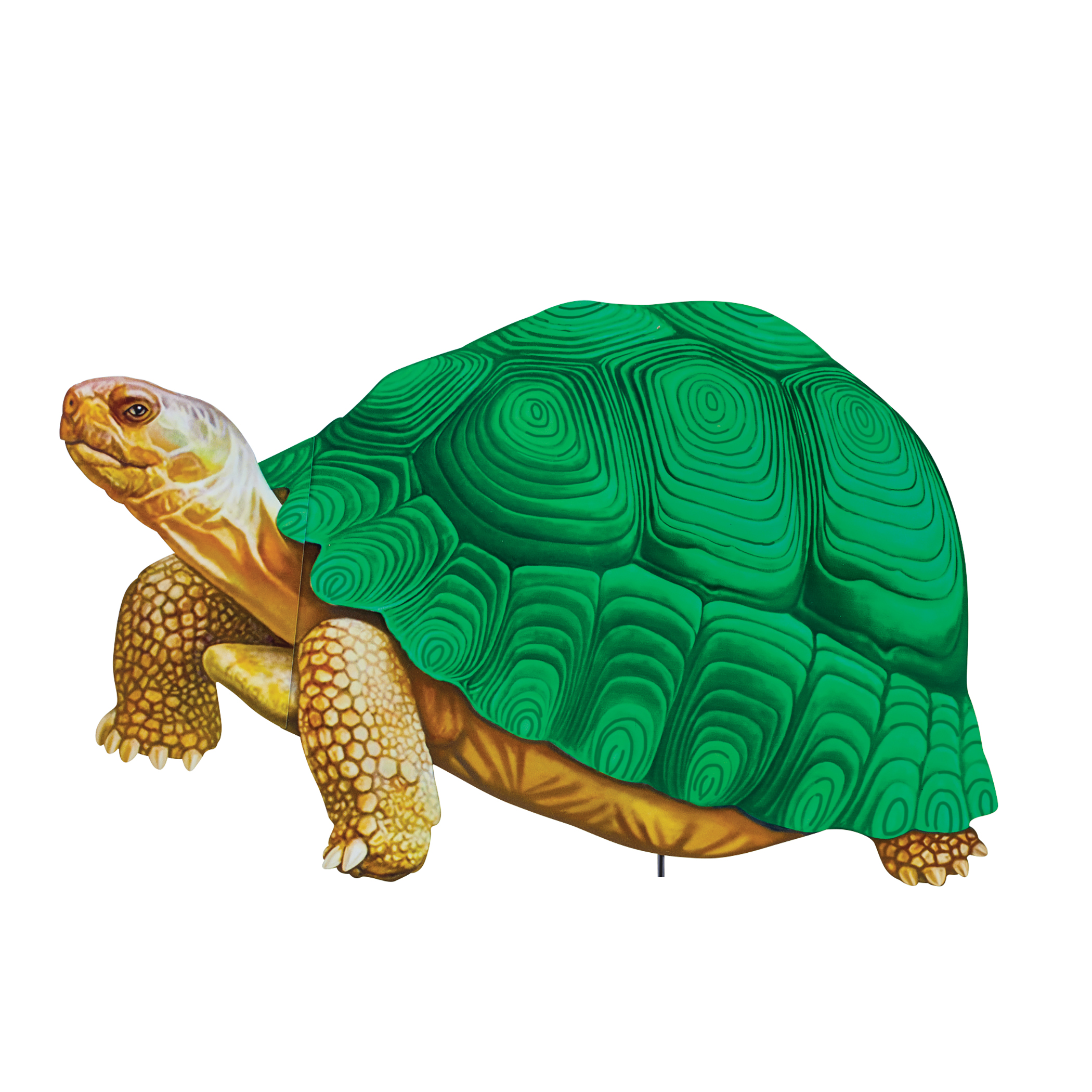 Realistic Tortoise Outdoor Garden Stake