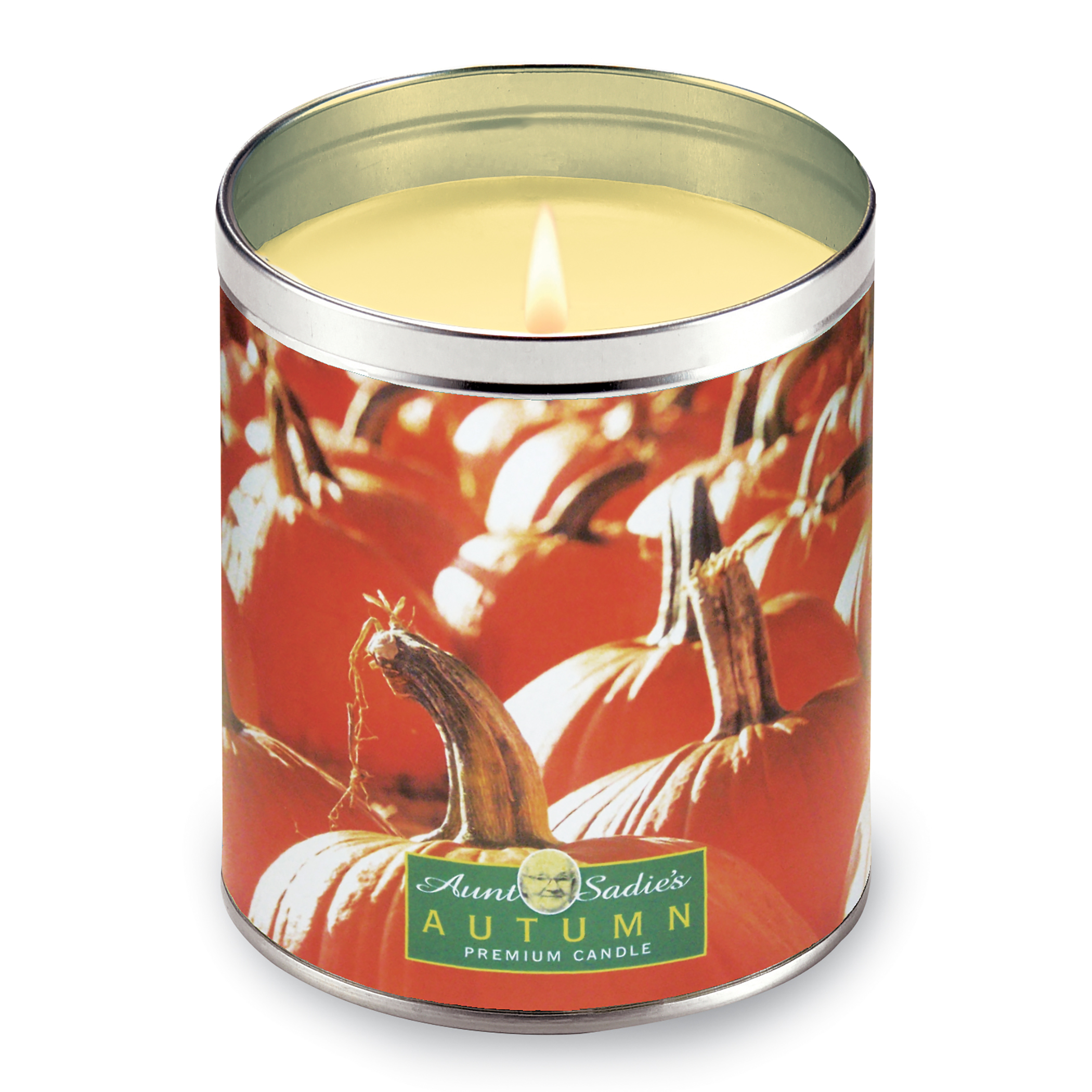Autumn Pumpkin Patch Scented Candle, 12 oz.