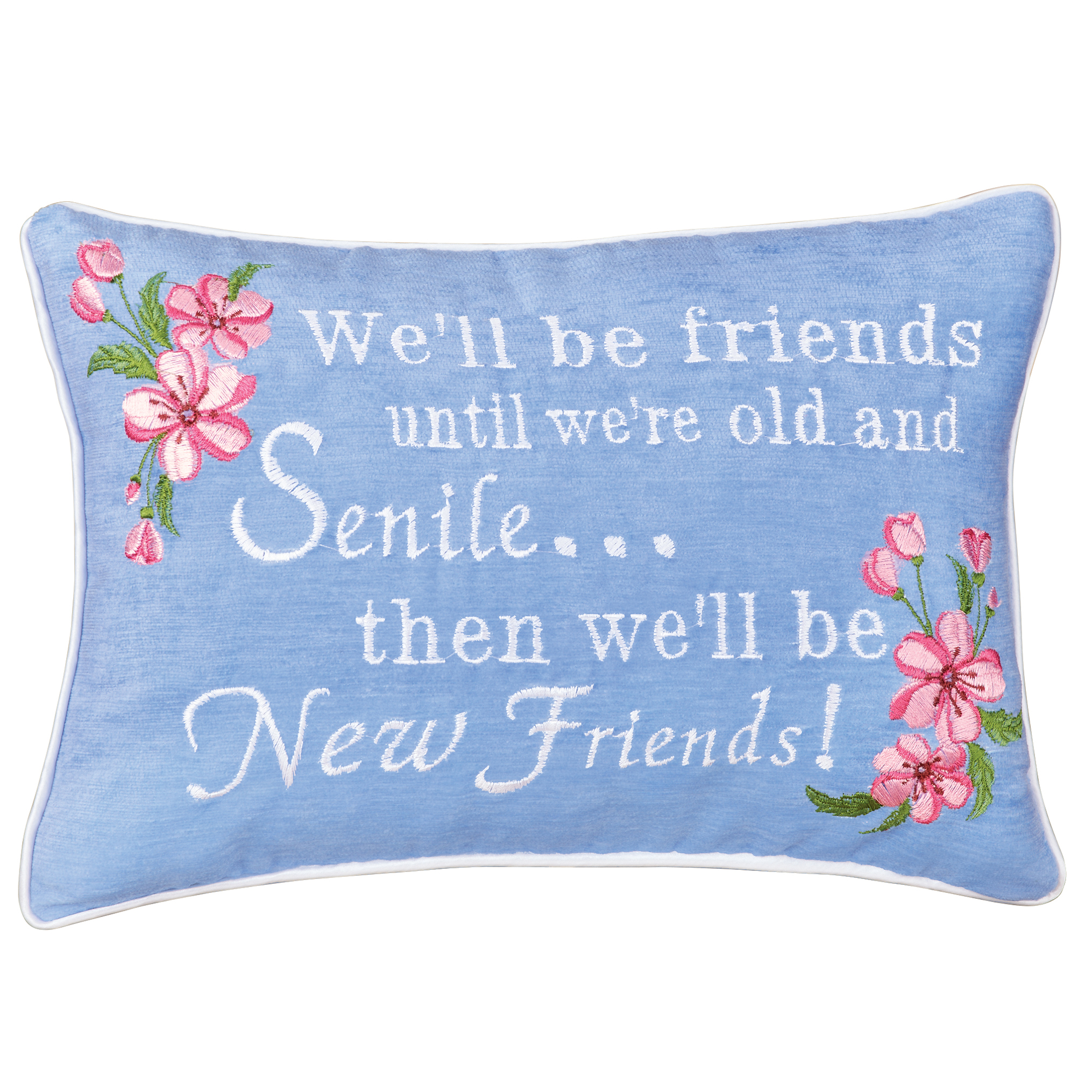 Funny New Friends Accent Pillow with Removable Cover