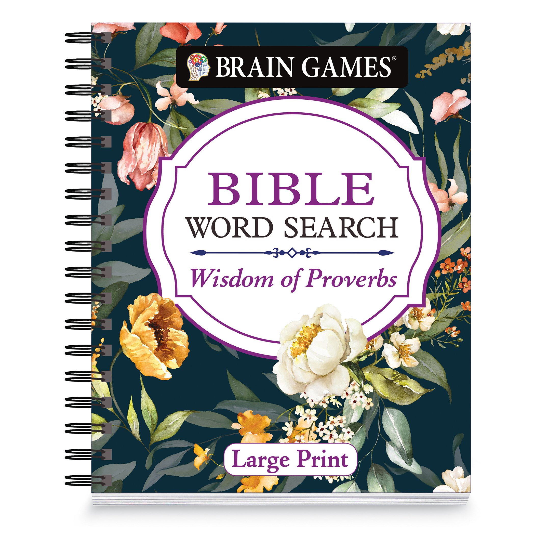 Brain Games Large Print Bible Proverbs Word Search Book