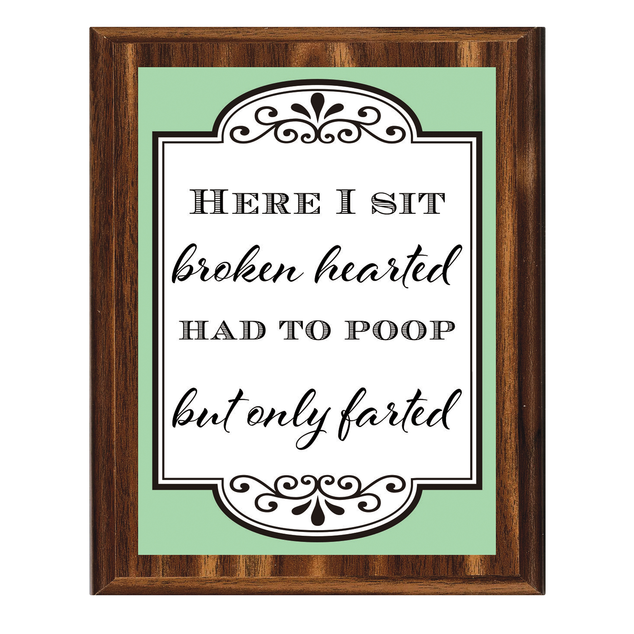 Funny Here I Sit Novelty Bathroom Wall Plaque Green