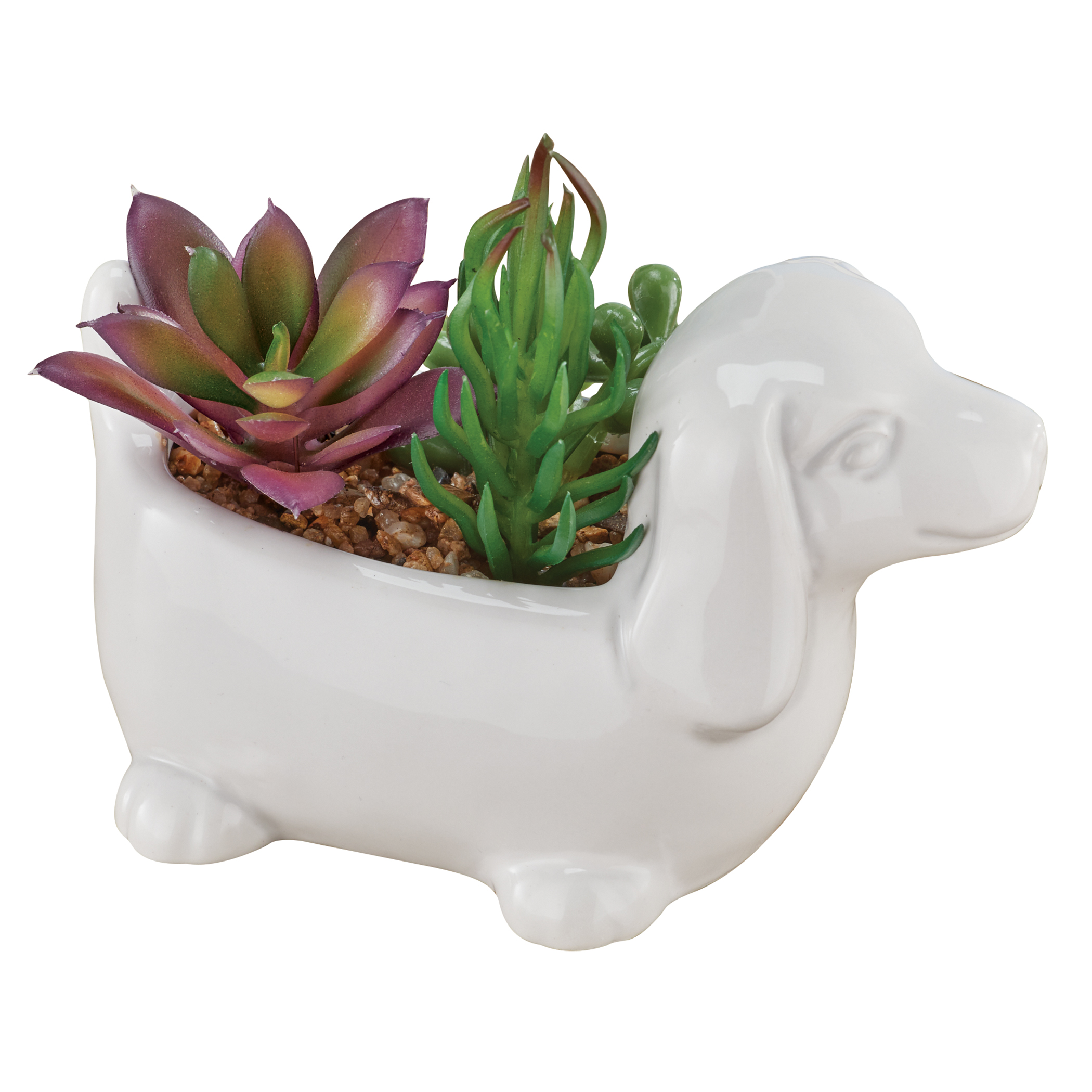 Faux Succulent Arrangement in White Ceramic Dachshund Pot White