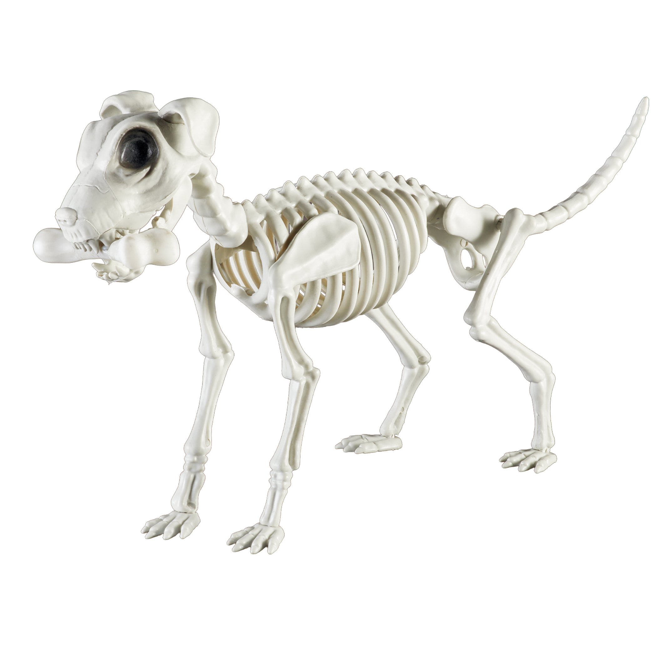 Creepy Detailed Dog Skeleton Halloween Decoration