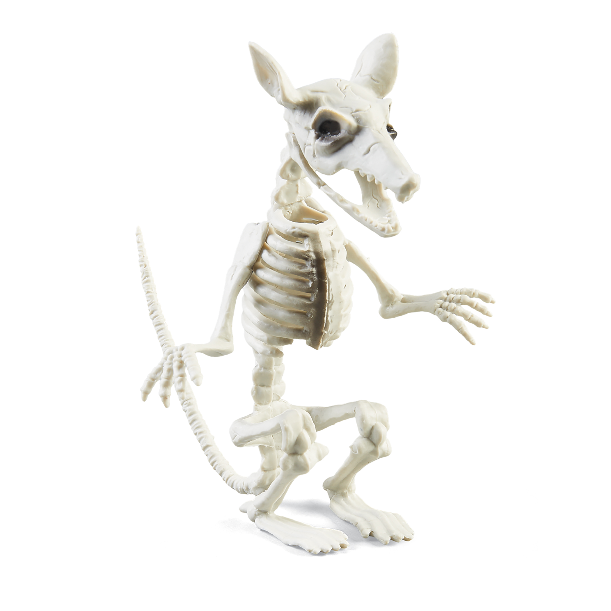 Rat Skeleton Halloween Decoration with Adjustable Mouth
