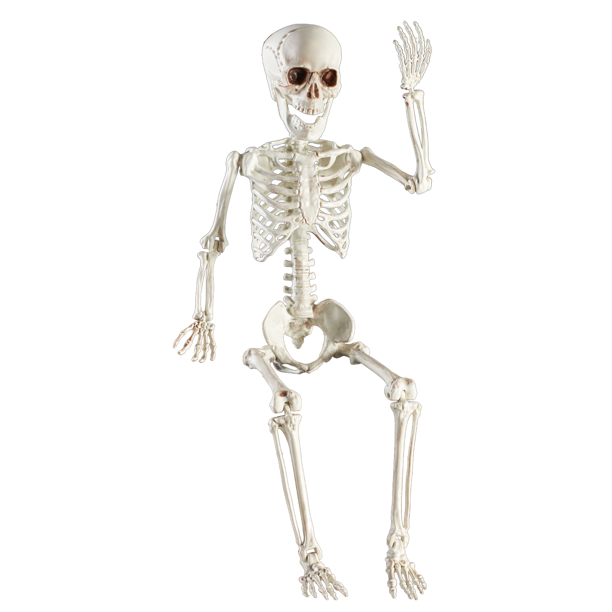 2-Foot Posable Skeleton Halloween Decoration