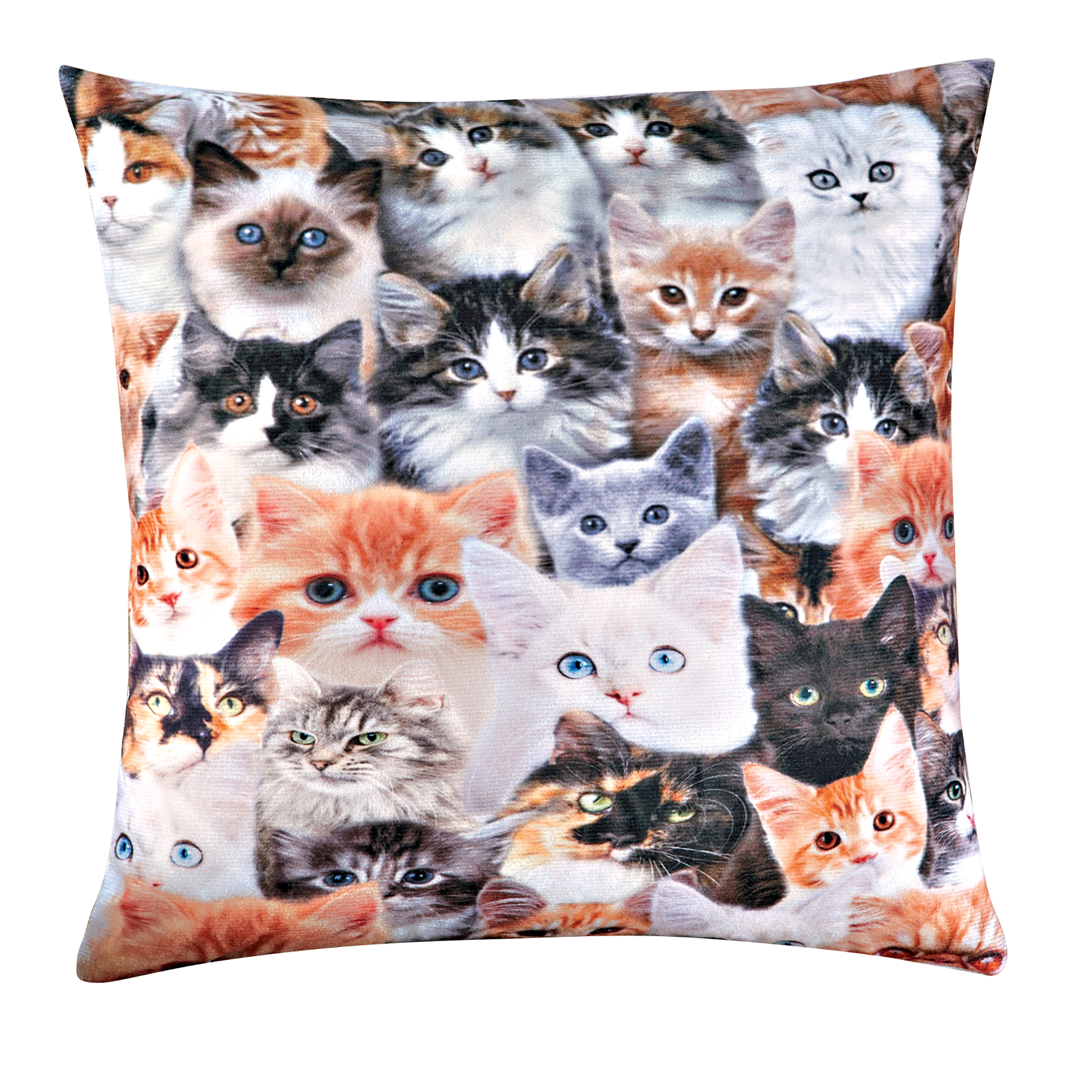 Different Cat Breeds Removable Cover Accent Pillow