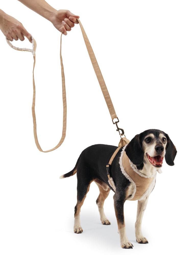 Sherpa Lining Adjustable Dog Harness w/ Dog Leash Collections Etc.